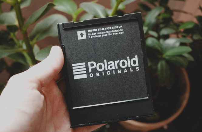 Erfahrungsbericht: Polaroid 600