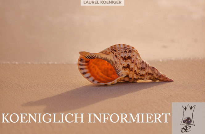 muscheln ki Copy Woher kommen die Muscheln im Rhein? | KOENIGLICH INFORTMIERT #49