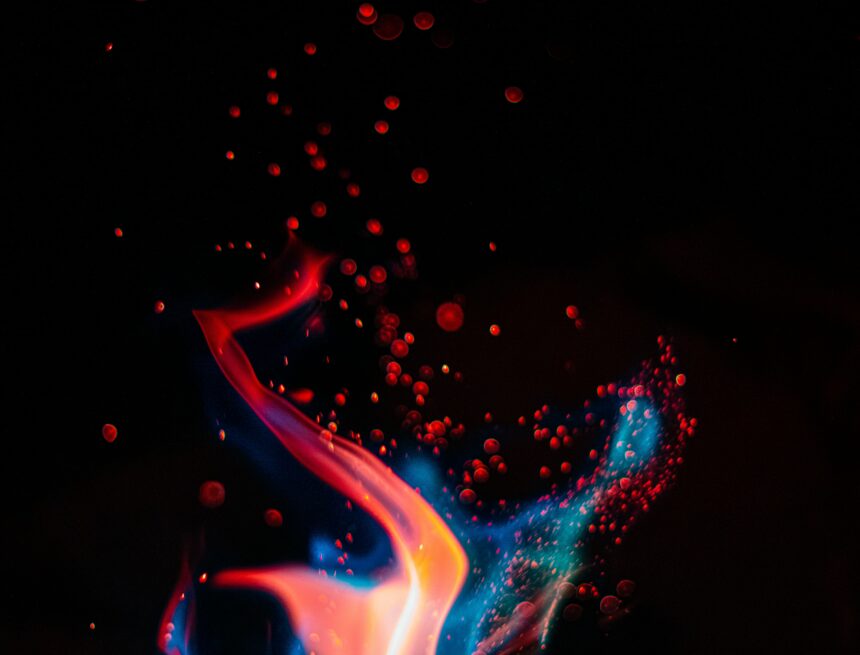 patrick-hendry-rAx4MemwFAo-unsplash firebird